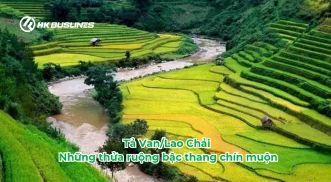 Bản Tả Van - Lao Chải SaPa